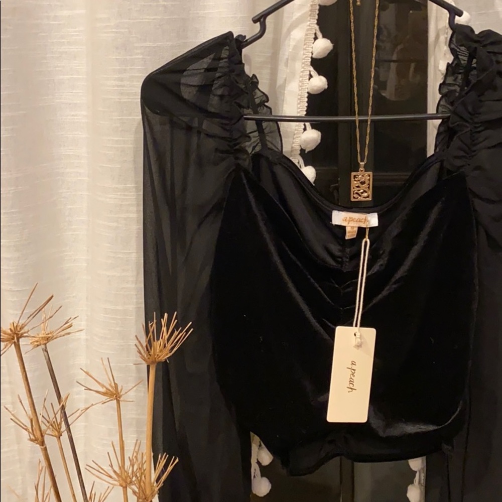 • Velvet Mesh Black Crop Top • - Picture 2 of 5